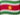 Suriname Flag