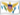 The US Virgin Islands Flag